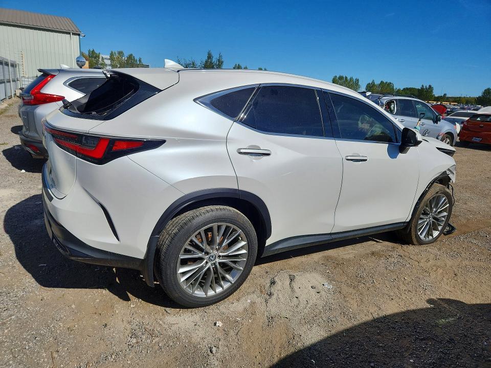 2022 Lexus NX 350H