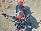 2026 Harley-Davidson RH975