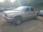 2004 Dodge Dakota