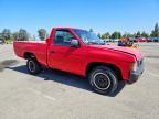 1993 Nissan Truck Base