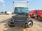 2025 International MV607 BOX Truck
