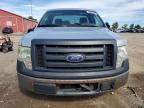 2010 Ford F150