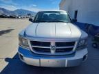 2011 Dodge Dakota SLT