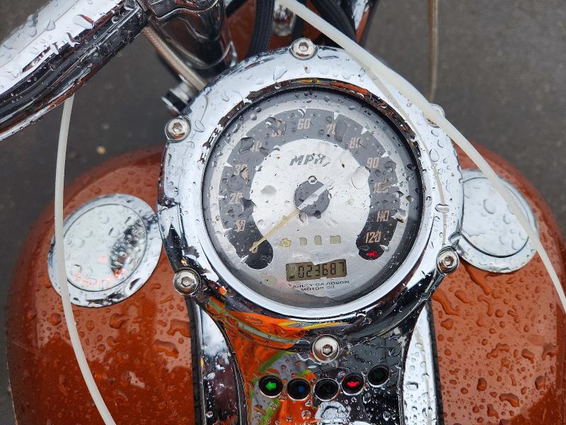 2008 Harley-Davidson FXSTSSE2 105TH Anniversary Edition
