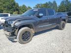 2024 Toyota Tundra 1794 Edition HV