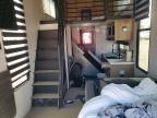 2024 Foresriver 2024 Forest River Timberwolf Camper