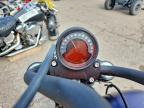 2025 Harley-Davidson Fxbb