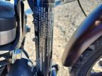 2019 Harley-Davidson XL883 N