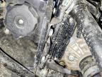 2026 Cfmoto Cforce ATV