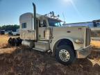 2019 Peterbilt 389 Truck Cab AND Chassis