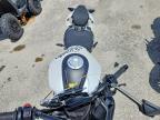 2026 Cf Moto 675SNK