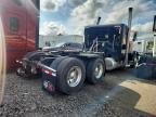 2016 Peterbilt 389 Semi Truck