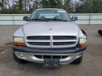 2001 Dodge Dakota Quattro