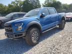 2019 Ford F150 Raptor