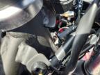 2026 Kawasaki EX500