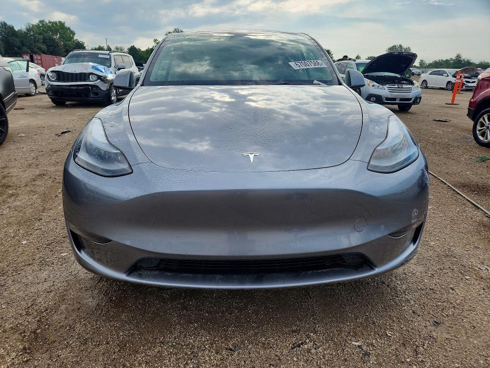 2025 Tesla Model Y