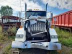 2017 Kenworth T800 Semi Truck