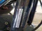 2005 Harley-Davidson Flstci