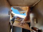 2014 Foresriver 2014 Forest River Sabre Camper