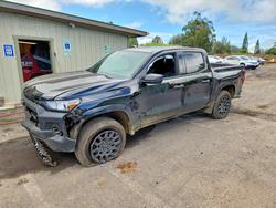 Salvage trucks for sale at Kapolei, HI auction: 2025 Chevrolet Colorado