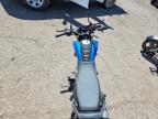 2025 Suzuki Tigsharkmc