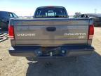 2003 Dodge Dakota SXT