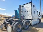 2019 Freightliner Cascadia 1-Truck Cab AND Chassis