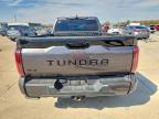 2022 Toyota Tundra Platinum