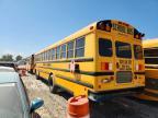 2009 Thomabuses 2009 Thomas Built School Bus