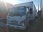 2020 Isuzu NRR BOX Truck