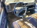 1986 Nissan Truck Base