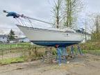 1984 Sail Boat Boat