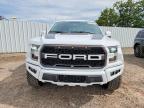 2019 Ford F150 Raptor
