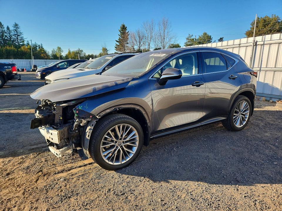 2022 Lexus NX 350