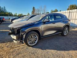 2022 Lexus NX 350 en venta en Bowmanville, ON