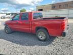 2006 Dodge Dakota Quattro