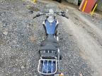 2007 Triumph America