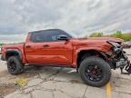 2024 Toyota Tacoma TRD PRO HV