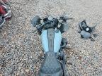 2024 Harley-Davidson Fxlrs