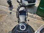 2022 Triumph Tiger 900 Rally