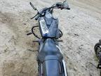 2020 Honda VT750 C2B