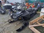 2024 Skidoo Expedition Xtreme 90