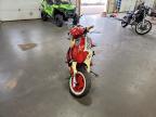 2008 Genuine Scooter Co. Buddy 150