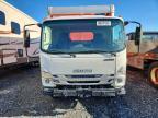 2024 Isuzu NPR HD