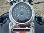 2013 Harley-Davidson Fxdf Dyna FAT BOB