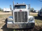 2019 Peterbilt 389 Semi Truck