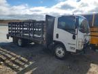 2024 Isuzu NPR
