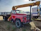 1981 Ford F600