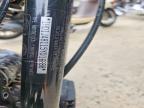 2005 Harley-Davidson Fxstbi