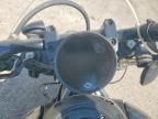 2025 Harley-Davidson RH1250 S